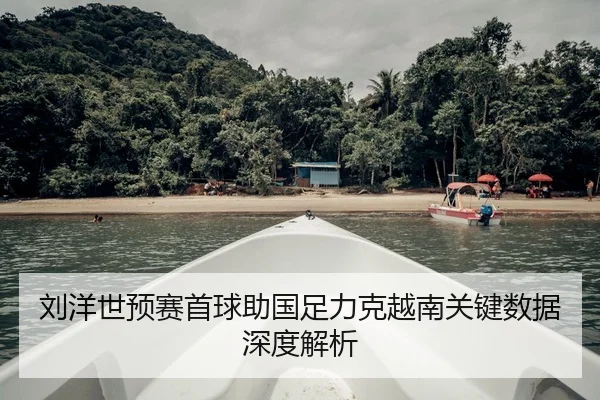 刘洋世预赛首球助国足力克越南关键数据深度解析