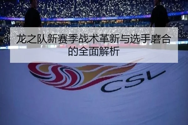 龙之队新赛季战术革新与选手磨合的全面解析